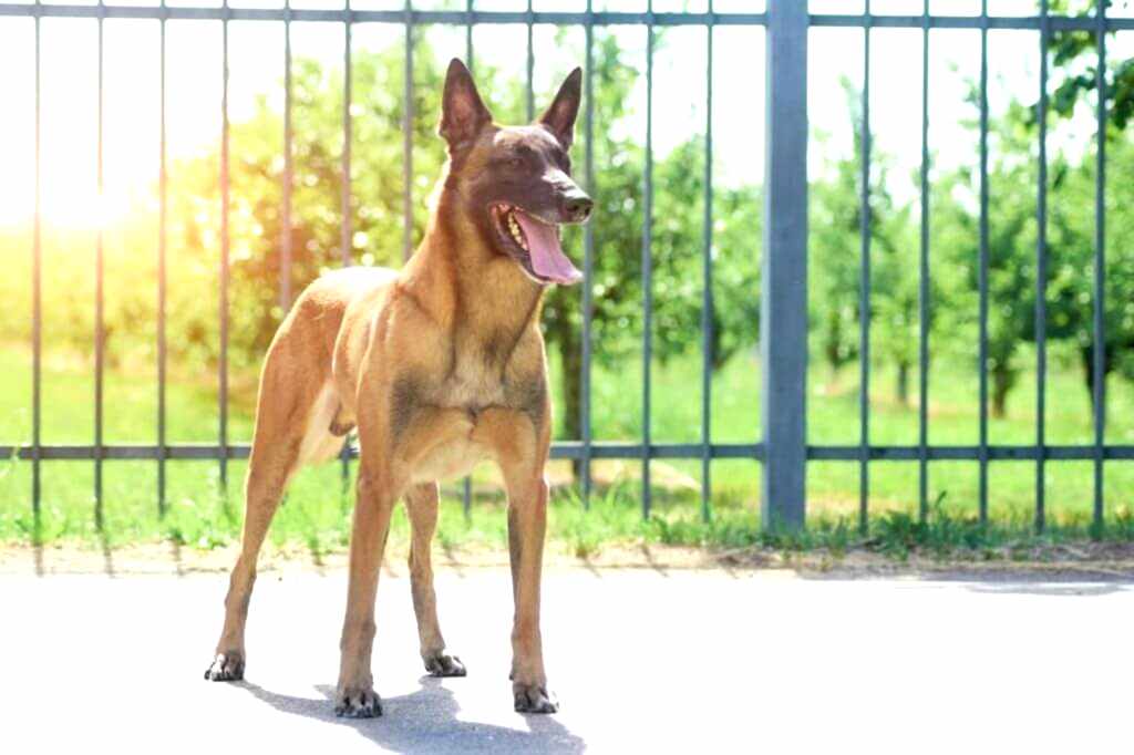 Alan Koruma Eğitimi