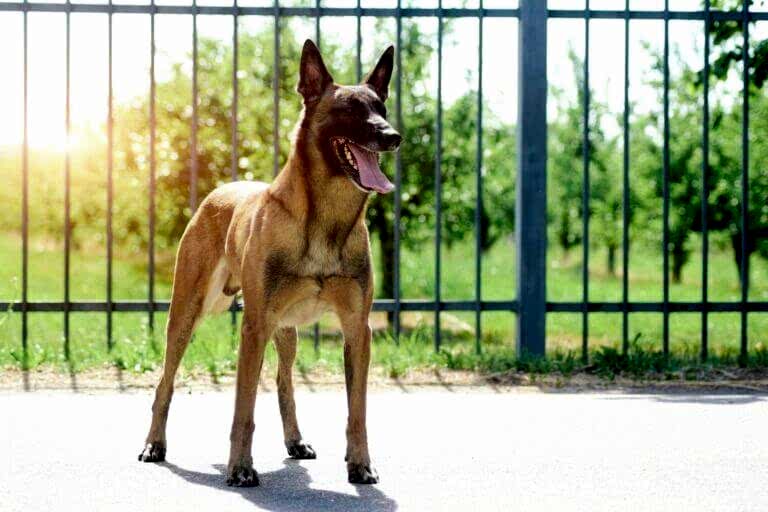 Alan Koruma Eğitimi