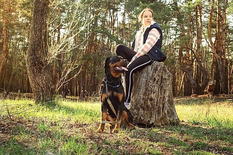 Şahıs Koruma Eğitimi