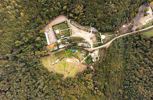 Royal Dog Club Köpek Eğitim Çiftliği