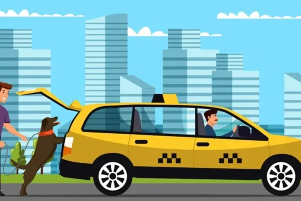 pet-taksi2